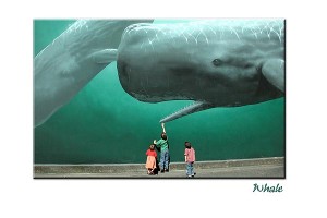 Kids in Kaikoura