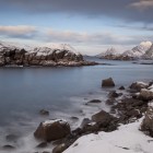 Begegnung im Winter auf den Lofoten