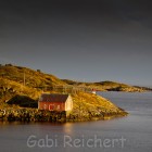 GReichert-6235