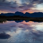 GReichert-7561
