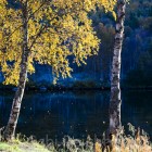 GReichert-9072
