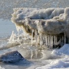 Eiskrokodil