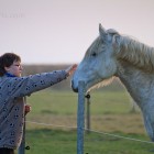 Amy und der Schimmel