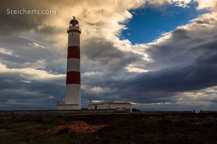 Tarbat Ness Leuchtturm