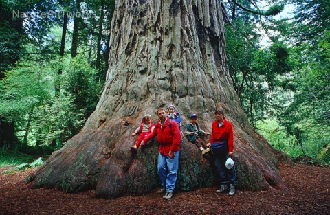 die 5reicherts auf der ersten langen Reise, USA im Jahr 2000