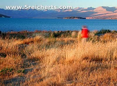 Lake Tekapo