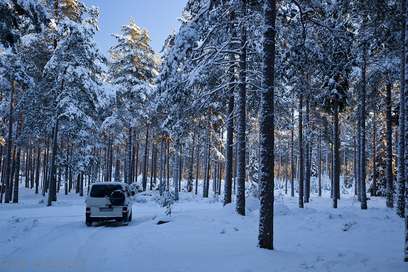 VW T4 im winterlichen Wald