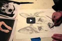 film_drawing-a-dog