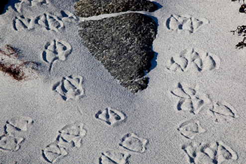 Spuren im Sand, Norwegen