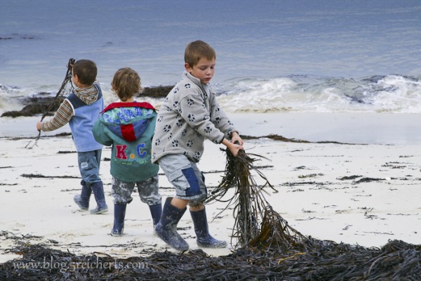 Was liegt alles am Strand?