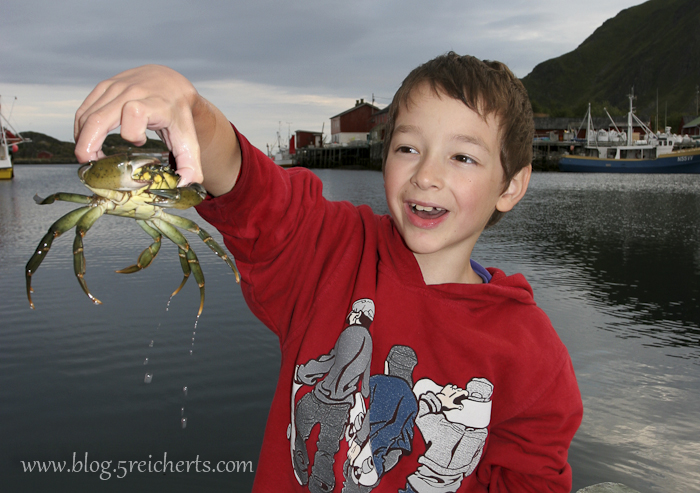 Noah fängt Krabben in Nord Norwegen, läßt sie danach immer wieder frei