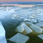 Eis im Hafen von Hvide Sande