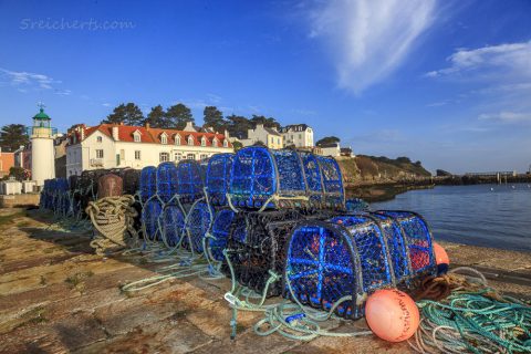 Hummereusen im Hafen von Sauzon, Belle Ile