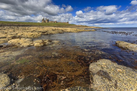typische Küste Northumberland