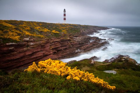 Tarbat Ness, Schottland