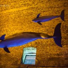 Modelle von Bottlenose Delfinen im Ice House - hier werden die Delfine bis zu 4m lang