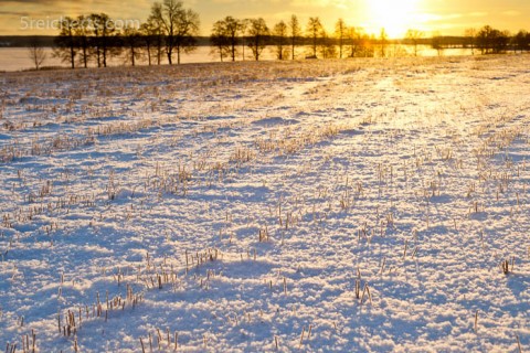 Feld, Schweden
