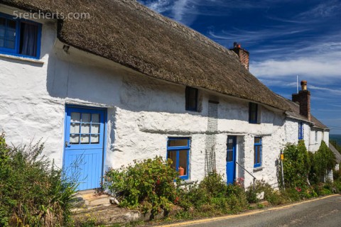 typish Cornwall