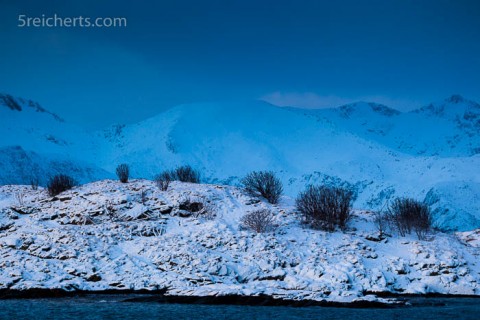 Blau