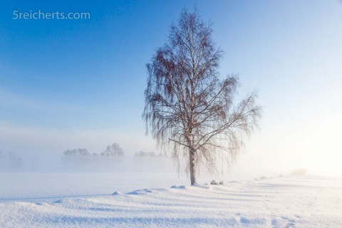 Nebel und Eis, Schweden