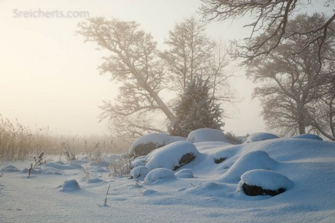 Nebel am See, Askö, Schweden
