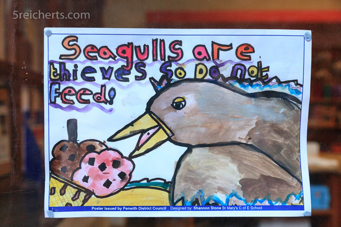 Don't feed the seagulls