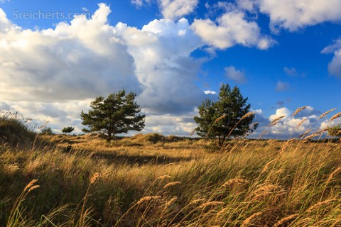 Darßer Ort, Naturschutzgebiet, Deutschland