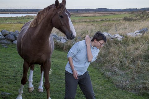 Amy und das Pferd