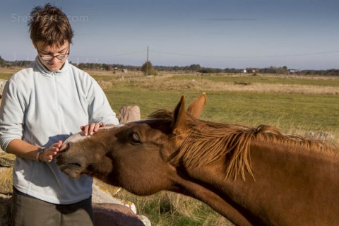 Amy und das Pferd