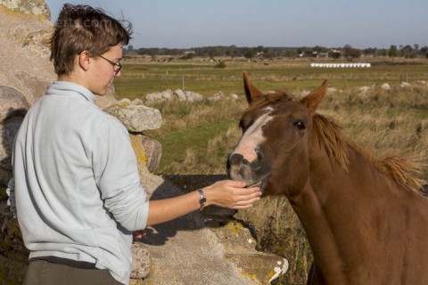 Amy und das Pferd