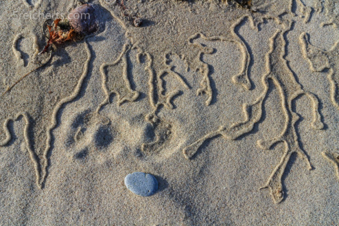 Spuren und Steine am Sandstrand