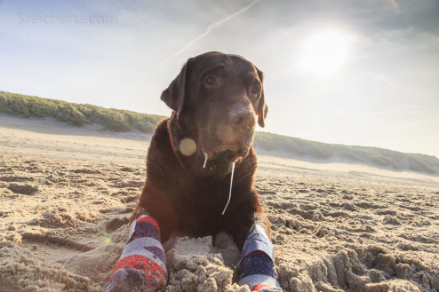 Ludwig mit Socken, weil seine Füße wund werden am Strand