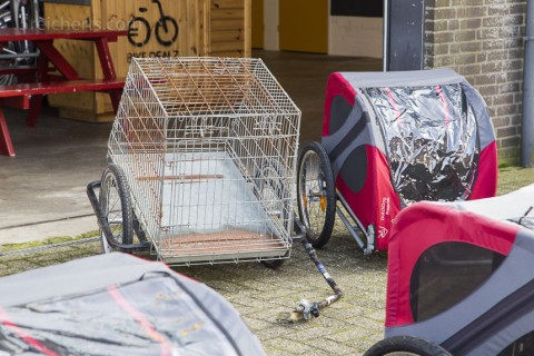 Diese Metallanhänger haben ausgedieht, sie waren zu laut für die Hunde