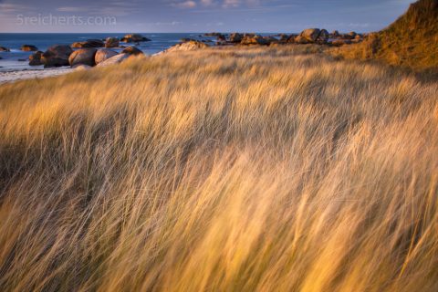 Ein Meer aus Gras weht im Wind, Pontusval