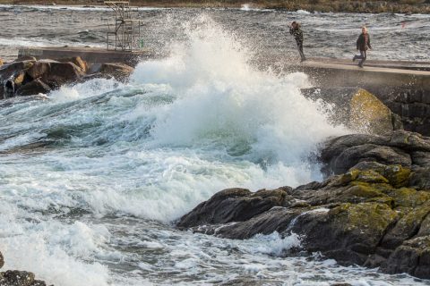 Kinder spielen mit den Wellen im Hafen von Svaneke, Bornholm, Dänemark