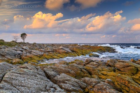 Küste in Svaneke, Bornholm, Dänemark