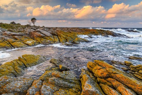 Küste in Svaneke, Bornholm, Dänemark