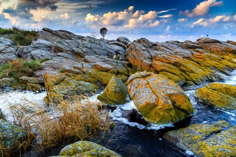 Küste in Svaneke, Bornholm, Dänemark