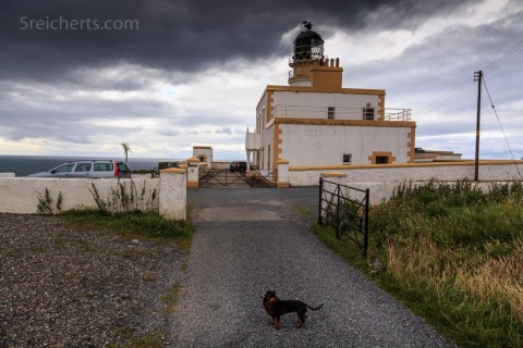 Kleiner Dackel am Leuchtturm Blackhead, Galloway