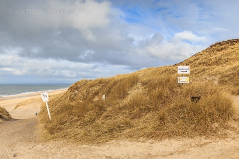 Ausschilderung zum Hundestrand