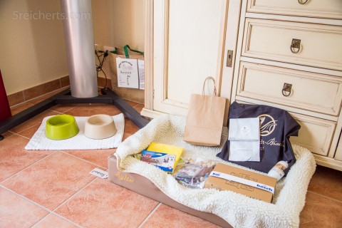 Hundebett im Hotel Lindner