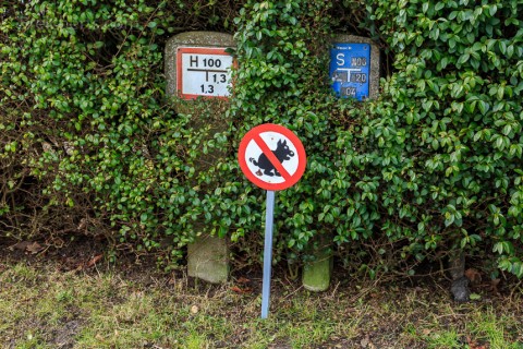 Logisch, dass Hundehalter den Dreck einsammeln.