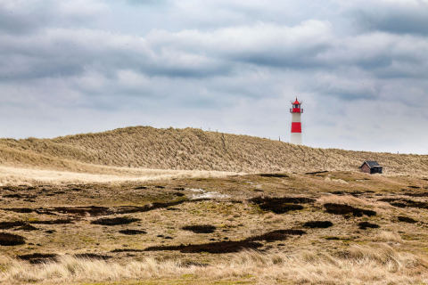 List Ost, Sylt