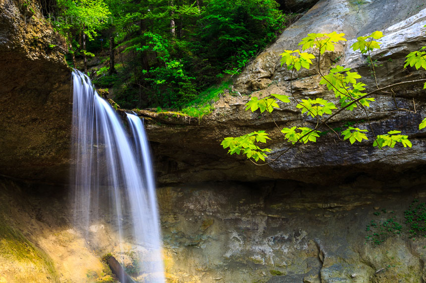 Scheidecker Wasserfälle. Dieser Mini-Wasserfall im Wald ist in dieser Form ohne Stativ nicht zu fotografieren. Eine Sekunde Belichtung gibt dem Wasser einen weichen Charakter.
