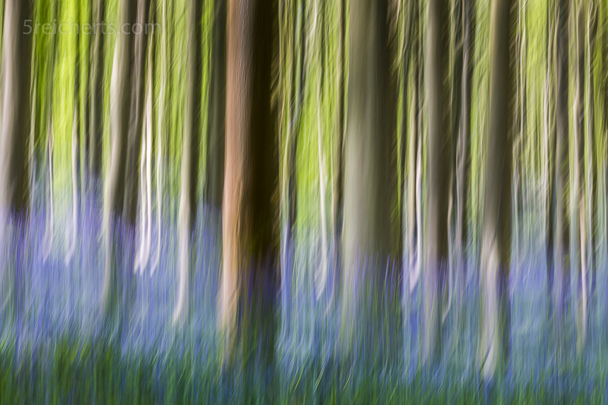 Waldkunst
