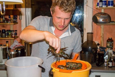 Jake schaut sich zuhause die Krebse genau an