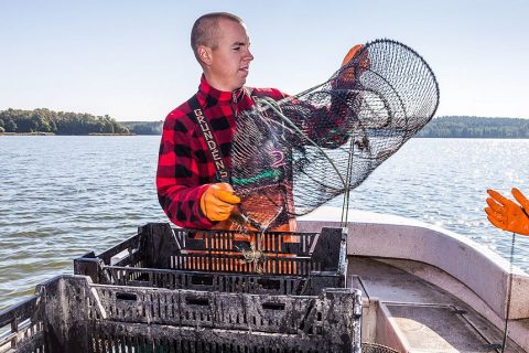 Martin schüttet die Flußkrebse in den Korb