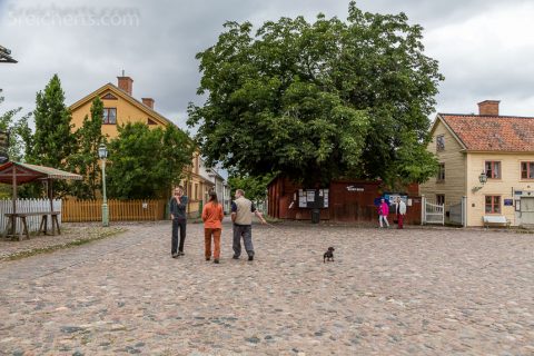Hartmut, Amy, Gunter und Grindel in Gamla Linköping