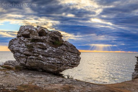Wir sehen die ersten Raukare auf Gotland ganz im Süden der Insel