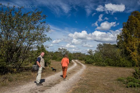 Gunter, Amy und Grindel auf der kurzen Wanderung